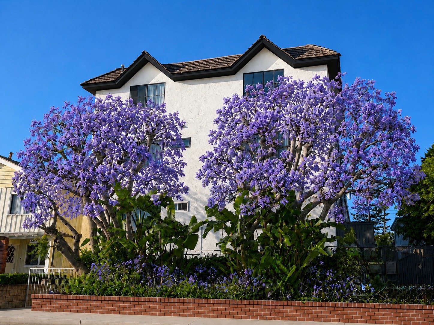 1444 centinela